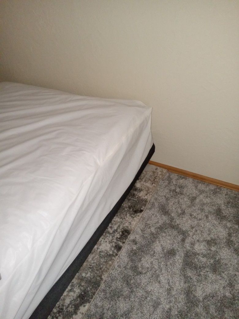 Hospital Bed