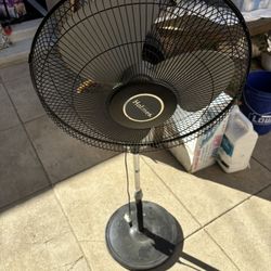 Fan