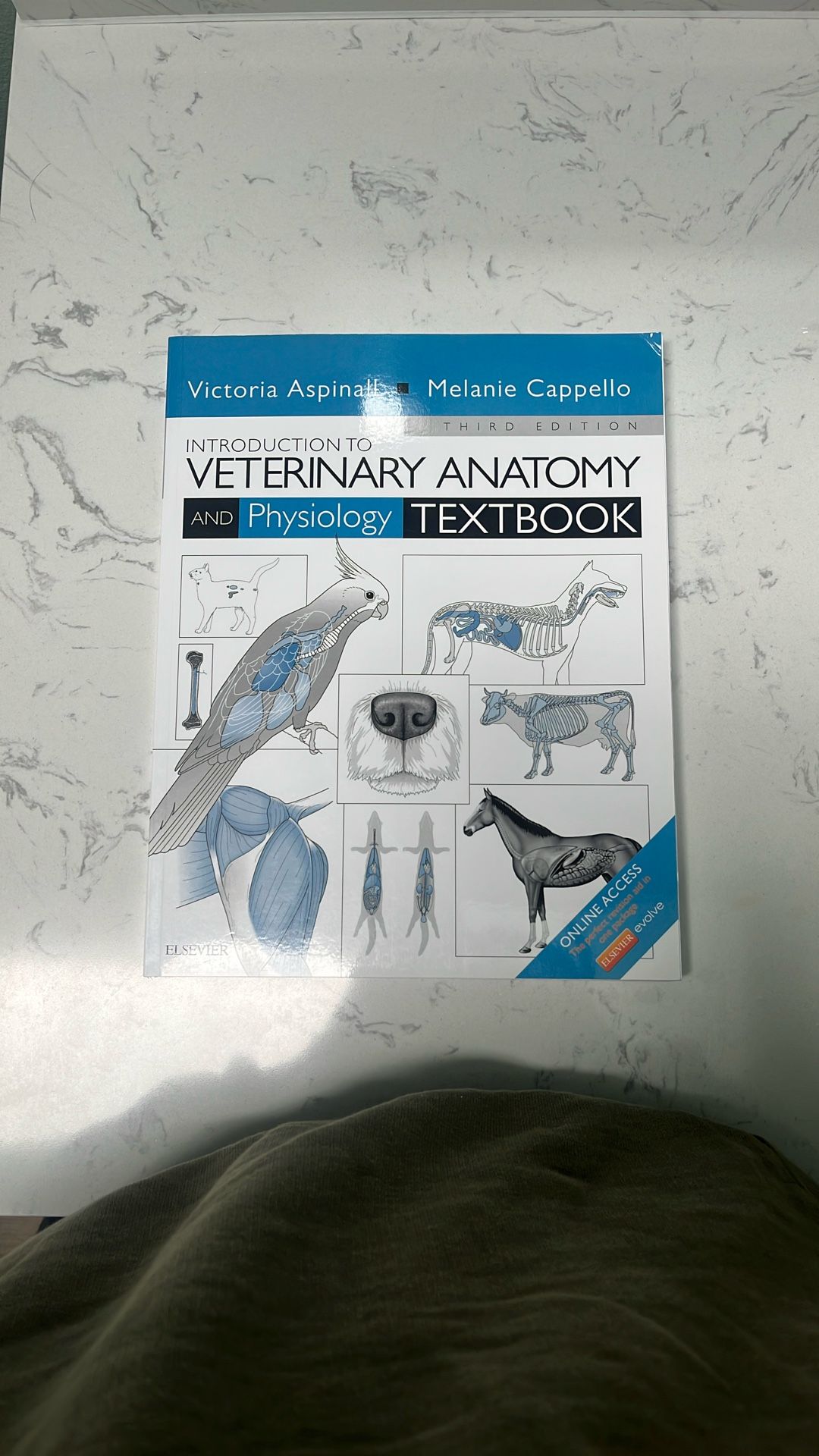 Introduction To Veterinary Anatomy And Physiology