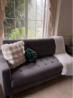 Dania Grey Couches/Sofas (2)