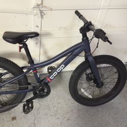Bike / Kids REI Co-op REV 20 (like New)