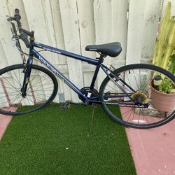 Roadmaster Bicycle 