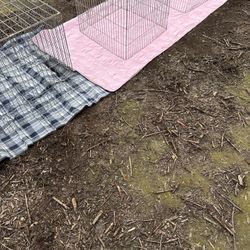 Tengo Unos Gallos En Venta Para Mas Información Mande Me Mensaje 