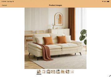 Sofa and Chair