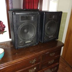 Hollinger PA Speakers 