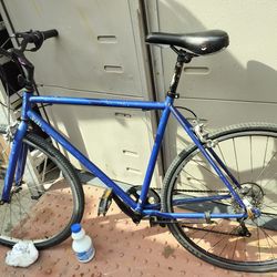 700 bike giant back rim