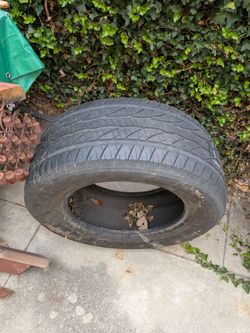 Dunlop Tires