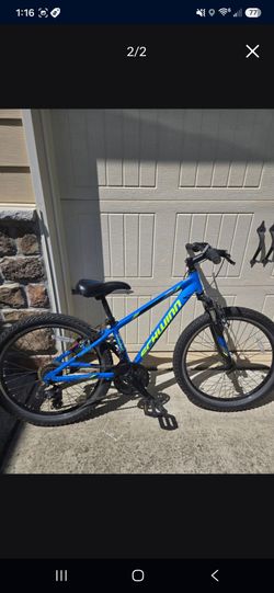 Schwinn Bike