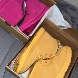 Ugg Females Boots