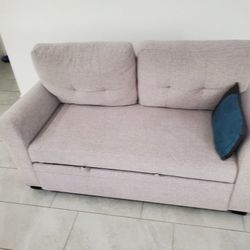 Couch With Storage And Extension 