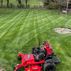 Grass Cutting Profesional 