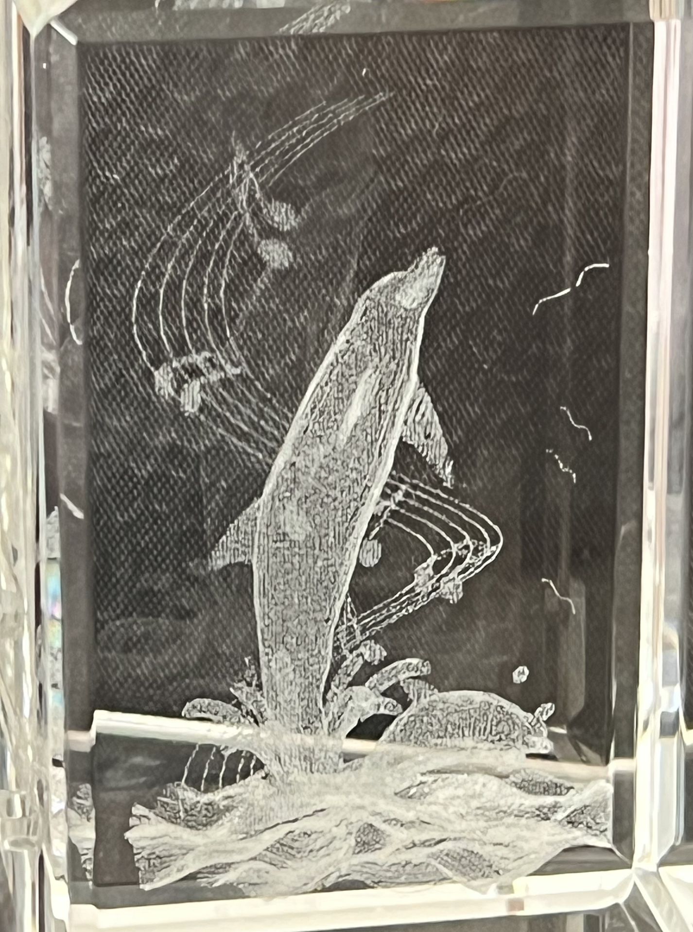 Crystal 3D Laser Etched Dolphin Art Paperweight 