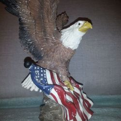 BALD EAGLE: Majestic Symbol of Freedom!