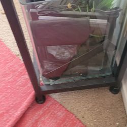 Oblong fish tank never used $75
