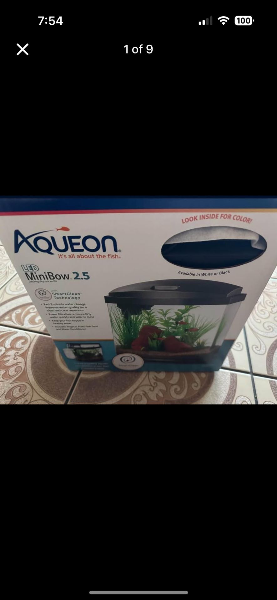 Small Filtered Fish Tank