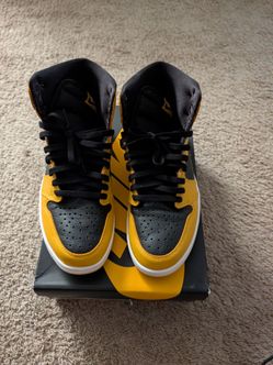 Jordan 1 pollen size 10.5