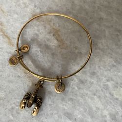 Alex and Ani Bracelet 