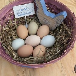 Farm Fresh Eggs 