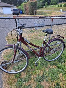 Adults bike
