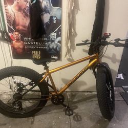 Mongoose Argus Fat Tire Bike 