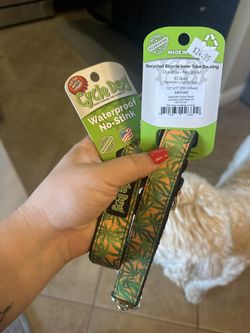 Dog Leashes 