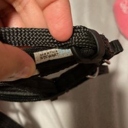 Harness For Dogs | Martha Stewart’s