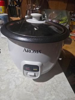 Rice cooker