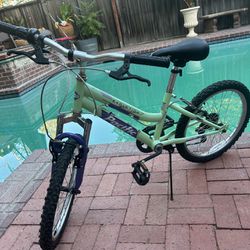 Bike 20