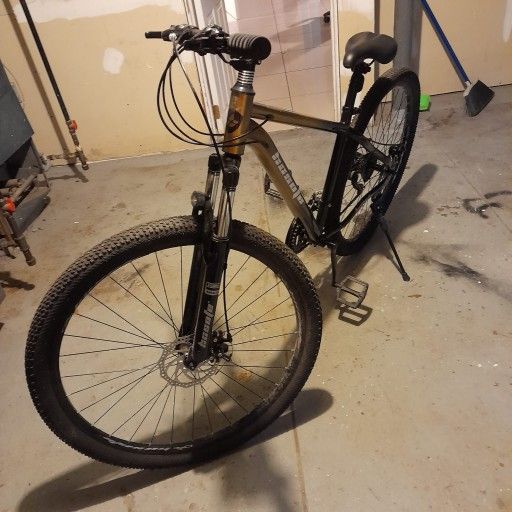 Hosote Bike #29