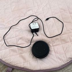 Echo dot!