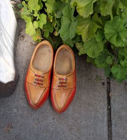 Wooden shoes