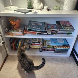 Painted Bookcase + Books