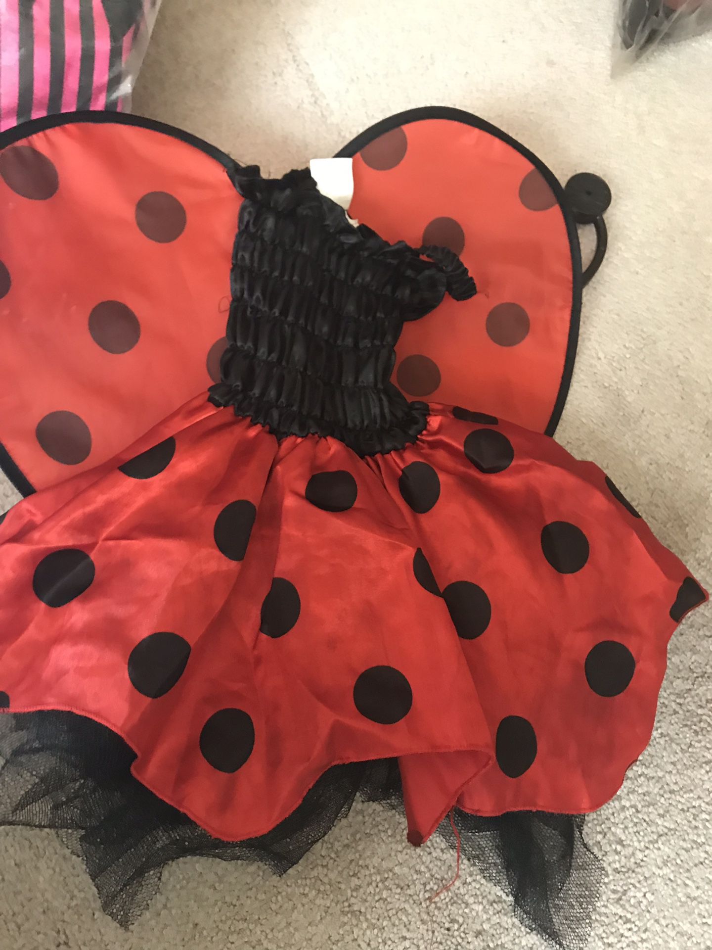Lady bug infant costume.