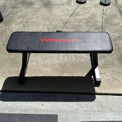 Flat Bench 