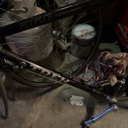 2120 Carbon Series Trek Bike 