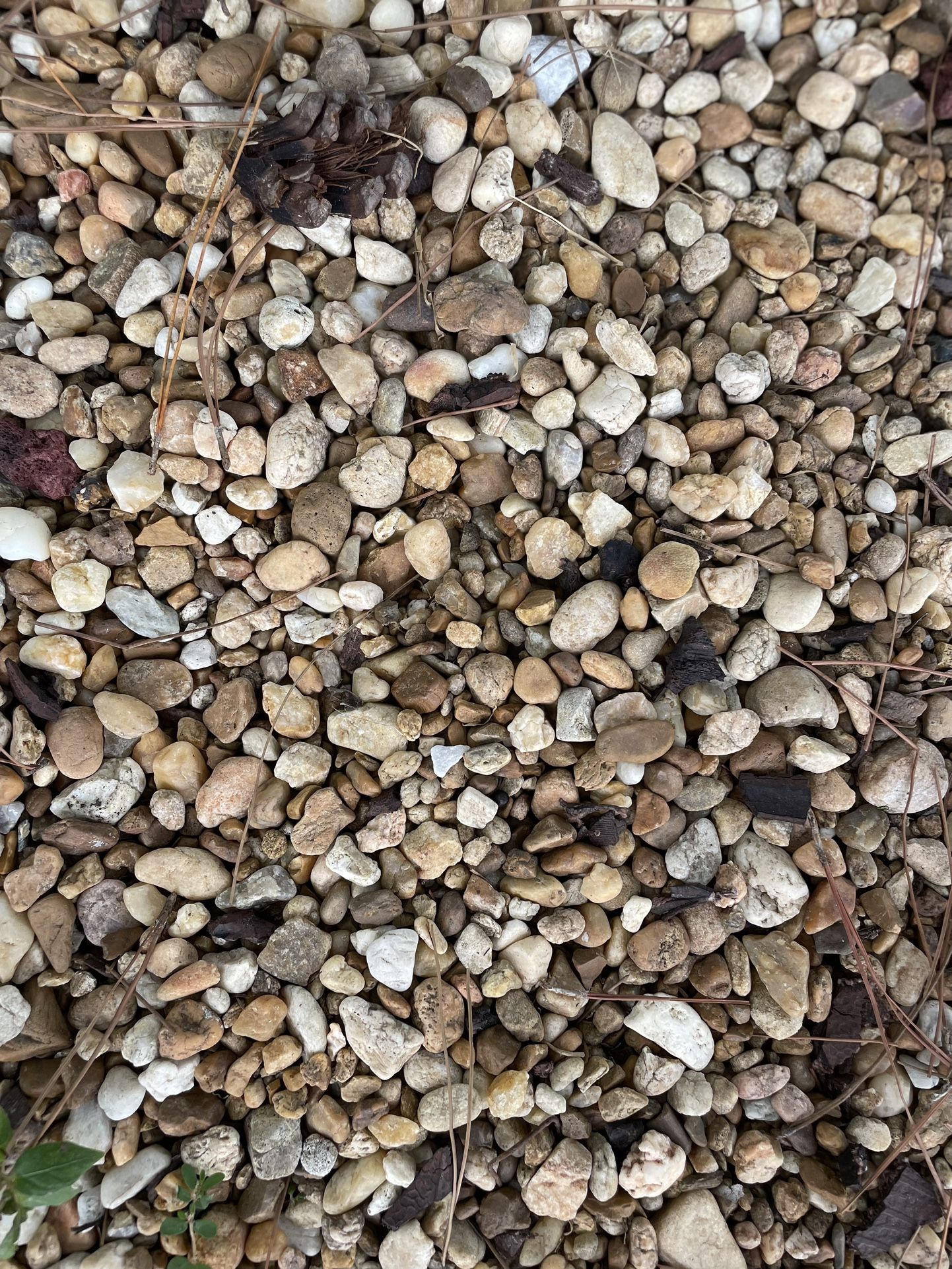 Landscaping rocks for Sale in Town 'n' Country, FL OfferUp