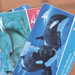 Seaworld Tickets 🎟!!!