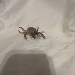 TOY BEETLE 6” BOLEY