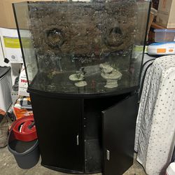 36 Gallon Aquarium/ Reptile Tank With Custom Background