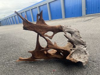 Assorted Natural Driftwood/Stump for aquascaping fish tank decor or terrarium decor.