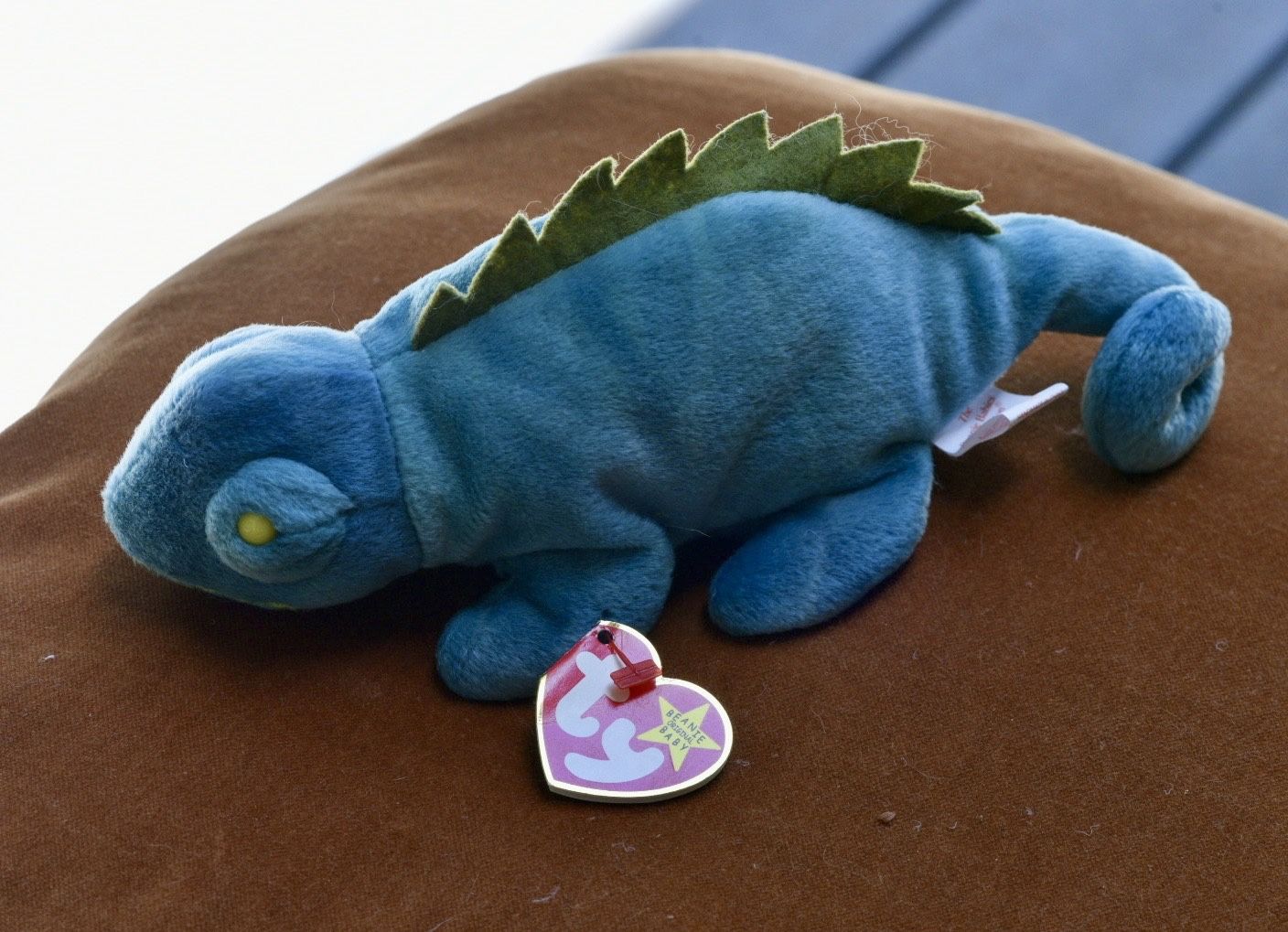 Iggy Beanie Baby Specialty Error