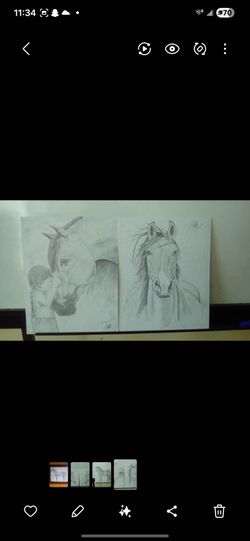 Original Horse Pencil Drawings