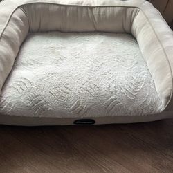 Extra Large Clean Dog Bed! 