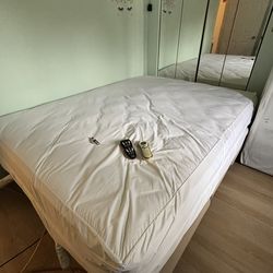 Queen Dual Adjustable Bed