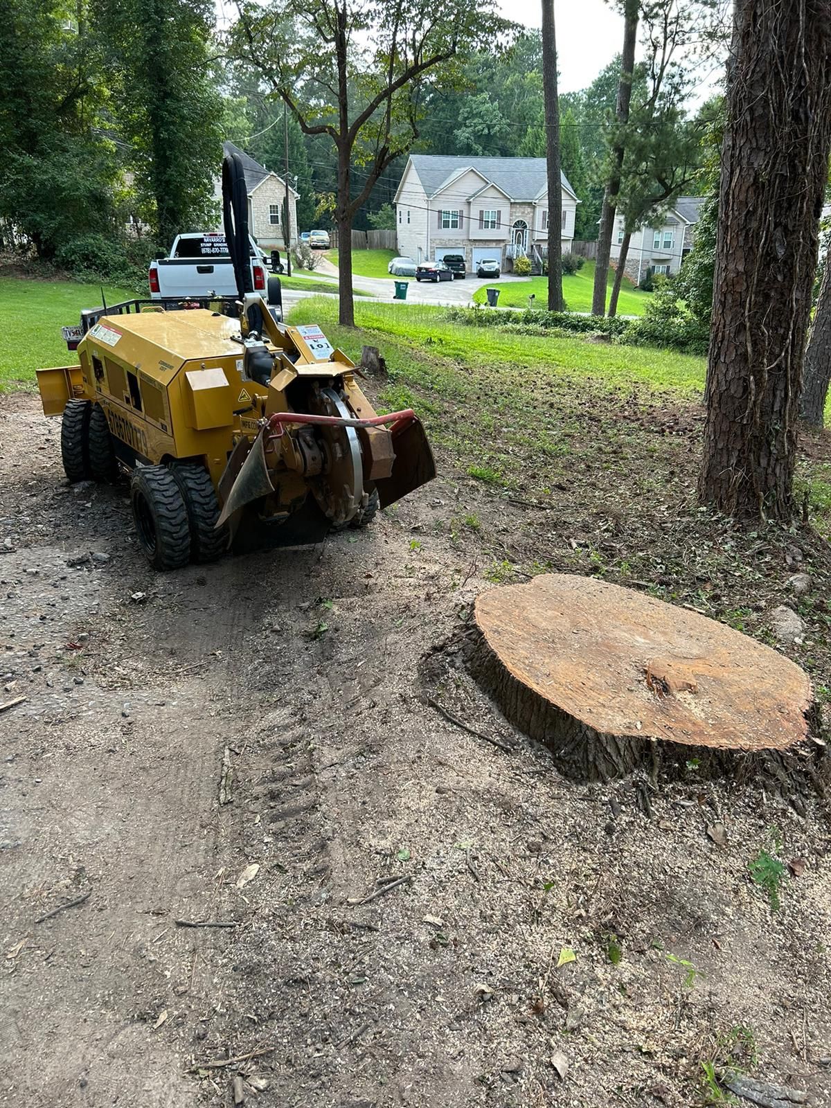 Stump Grinding