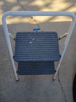 Step stool ladder