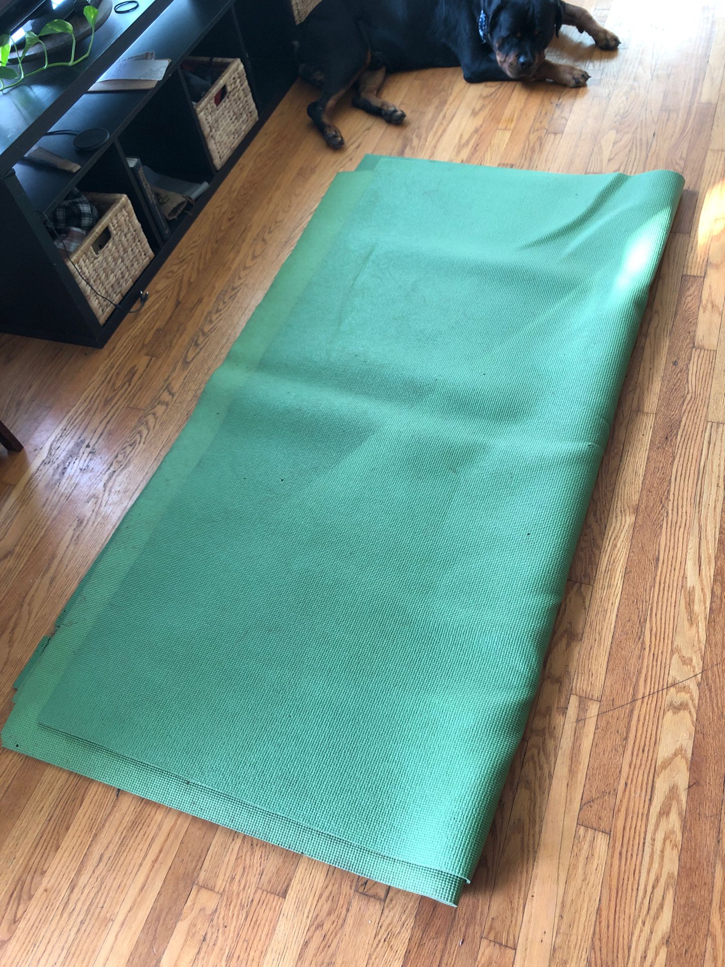 Yoga mat huge