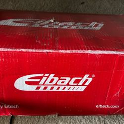 Eibach Pro Springs