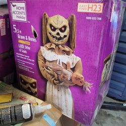 Home Accents Holiday Halloween Decoration 