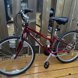 Schwinn Sierra Mountain Bike – XS / Youth Size